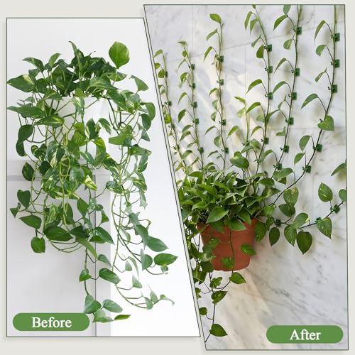 100 Pcs Plant Climbing Wall Fixture Clips, Green Plant Fixer with Self-Adhesive Hook, Fixing Clip Vines Holder for Indoor Outdoor Plants Support Cable Wire (Medium)