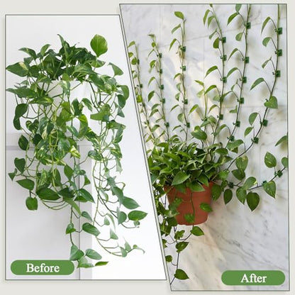 100 Pcs Plant Climbing Wall Fixture Clips, Green Plant Fixer with Self-Adhesive Hook, Fixing Clip Vines Holder for Indoor Outdoor Plants Support Cable Wire (Medium)