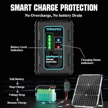 SUNAPEX 30W Solar Battery Charger: 12V Waterproof Solar Panel Kit - Aluminum Trickle Charger for Car Battery with Controller - Battery Tender Motorcycle Boat Marine RV Trailer Tractor Truck - size: 30W - Standard