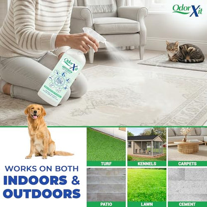 Pet Urine Odor Eliminator Spray, Ideal for Cat, Dog Poo and Urine Smell, Versatile & Natural Odor Neutralizer for Home and Outdoor Use, Ready to Use, 16oz - style: 16 Fl Oz Ready to Use Spray