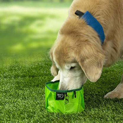 Nite IZE RadDog Collapsible Dog Bowl, Lightweight Food and Water Bowl - color: Lime