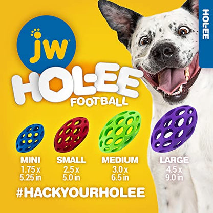 JW Pet Hol-ee Water Bottle Dog Toy, Not a Chew Toy, Medium - size: Medium