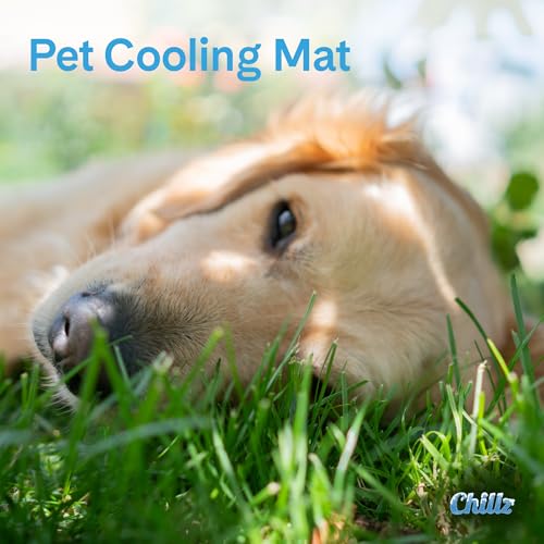 The Green Pet Shop Chillz Gel Mat, Large - Pressure-Activated Cooling Pad for Pets 25-50 lbs - Non-Toxic, No Water or Refrigeration Needed - Ideal for Home, Travel & Crates - size: L