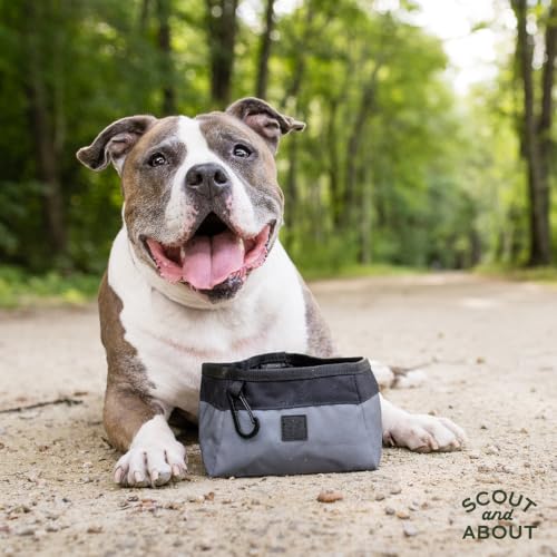 P.L.A.Y. Collapsible Dog Water & Food Bowl - Great Dogs, Travel, On-the-go, Hiking, Outdoors - Portable, Folds Flat, Waterproof, Easy Clean, 2.3L Capacity (Eclipse) - color: Eclipse