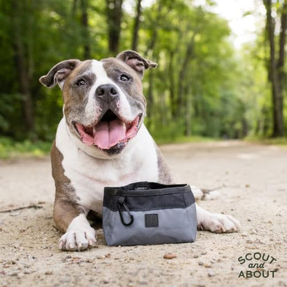 P.L.A.Y. Collapsible Dog Water & Food Bowl - Great Dogs, Travel, On-the-go, Hiking, Outdoors - Portable, Folds Flat, Waterproof, Easy Clean, 2.3L Capacity (Eclipse) - color: Eclipse
