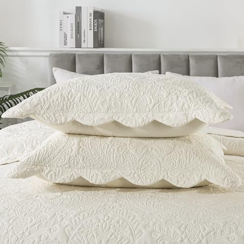 HoneiLife Oversized Queen Bedspreads 110x106- Queen Size Quilt Bedding Sets 3-Piece, Reversible Coverlets Lightweight Bedlinen Set for All Season Use-Beige - color: Beige, size: Oversized Queen-110"x106"