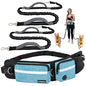 PetAmi Hands Free Dog Leash, Dog Running Leash Belt Bag for Walking, Jogging, Dog Waist Double Zipper Pouch with Poop Bag Dispenser, Dual Padded Handles Reflective Bungee Leash, Double (Turquoise) - color: Turquoise, size: 2 Leashes
