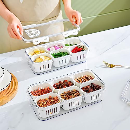 2Pack Divided Food Serving Tray with Lids Stackable Snackle Box for Candy Nuts Spice Fruit&Veggie Container with 6 Small Dividers Plastic Storage Bins for Fridge Pantry Freezer - size: 2Pack with 12 dividers