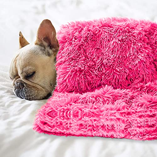 Pet Dog Bed Blankets, Fluffy Fleece Dog Throw Blankets Sleep Mat,Soft Puppy Blankets Cat Kitten, S M L XL,Fuzzy Reversible Sherpa Blanket for Bed, Couch, Sofa, Travel,Washable & Lightweight - color: Rose Red, size: 40 INCH X30 INCH