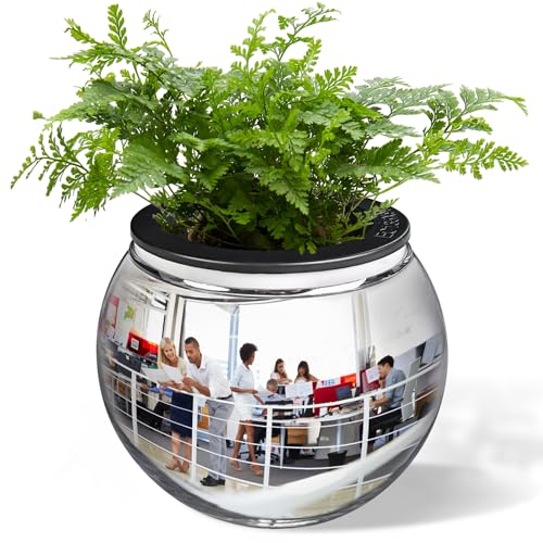 7" Spherical Convex Mirror Glass Bowl Vase - Safety Cubicle Reflector & Desktop Rearview Mirror to See Behind You for Office/Home Décor, Floral Arrangements, Planter Storage - color: 7-inch Silver
