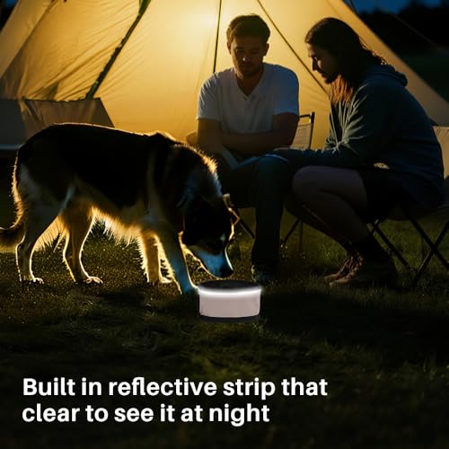 Portable Dog Water Bowl with Clip, Foldable Travel Pet Feeding Dish for Hiking, Camping and Walking, Leak-Proof Sturdy Nylon, Pink