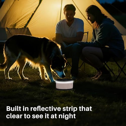 Portable Dog Water Bowl with Clip, Foldable Travel Pet Feeding Dish for Hiking, Camping and Walking, Leak-Proof Sturdy Nylon, Pink