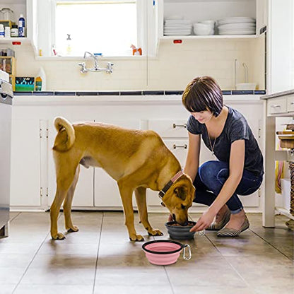 Kytely Large Collapsible Dog Bowls 2 Pack, 34oz Foldable Dog Travel Bowl, Portable Pet Water Food Bowl with Clasp, Pet Cat Feeding Cup Dish for Traveling, Walking, Hiking (Pink+Grey) - color: Grey & Pink