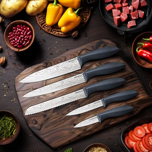 RAXCO Kitchen Knife Set,10-Piece Stainless Steel Knife Set with Block,Gray | Pro-Sharpened Kitchen Knives,Space-saving Compact Organizer for Small Kitchen,RV,Apartment and Dorm - color: Damascus