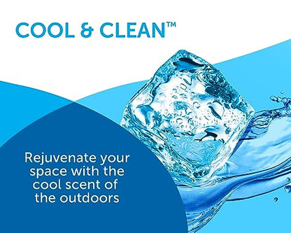 Bright Air 14 oz. Super Odor Eliminator, For Medium-Size Spaces, Cool & Clean Scent, Case of 6,Air Freshener, Natural Essential Oils, Lasts Up to 90 Days Each
