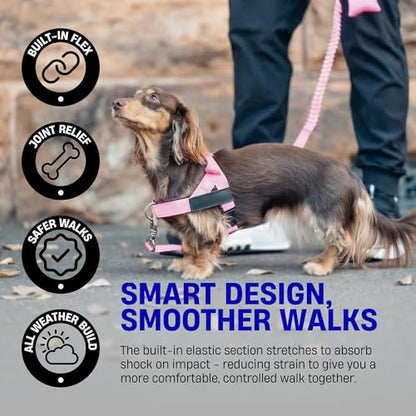 Dog Friendly Co. Bungee Dog Leash | Strain Free & Shock Resistant for Control | Neoprene Padded Handle, Heavy-Duty Carabiner Clip, and D-Ring | Grey Camo, Size Small - color: Grey Camo, size: Small