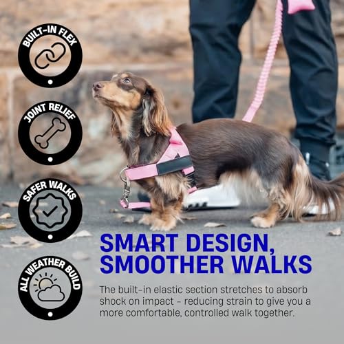 Dog Friendly Co. Bungee Dog Leash | Strain Free & Shock Resistant for Control | Neoprene Padded Handle, Heavy-Duty Carabiner Clip, and D-Ring | Neon Green, Size Small - color: Neon Green, size: Small