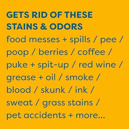 KIDS 'N' PETS Instant All-Purpose Stain & Odor Remover, 32oz | Permanently Eliminates Dog Pee & Cat Urine, For Carpet, Couch, Furniture, Mattress, Fabric, Non-Toxic, Child Safe - style: 32 fl oz