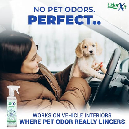 Pet Urine Odor Eliminator Spray, Ideal for Cat, Dog Poo and Urine Smell, Versatile & Natural Odor Neutralizer for Home and Outdoor Use, Ready to Use, 16oz - style: 16 Fl Oz Ready to Use Spray