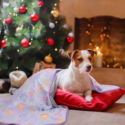 Dono 1 Pack 3 Dog Blankets, Soft Fluffy Fleece Pet Blanket Warm Sleep Mat Paw Print Design Puppy Kitten Throw Blanket Doggy Mat, Blanket for Dogs - color: Brown/Pink/Purple, size: Medium(30*20")