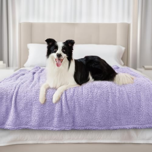 Luciphia Premium Fleece Dog Puppy Blanket Soft Pet Sherpa Calming Cat Blankets Throw for Small Medium Dog Cat(Violet,41x31 inches) - color: Violet, size: 41x31 inches