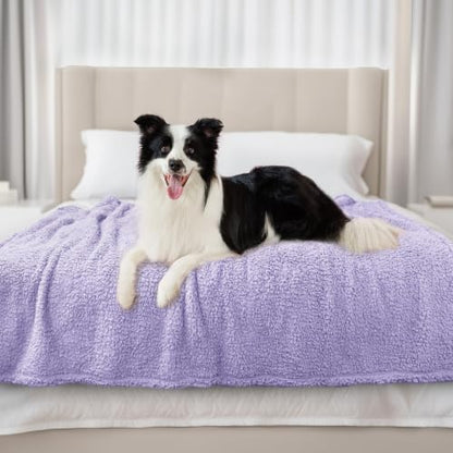 Luciphia Premium Fleece Dog Puppy Blanket Soft Pet Sherpa Calming Cat Blankets Throw for Small Medium Dog Cat(Violet,41x31 inches) - color: Violet, size: 41x31 inches