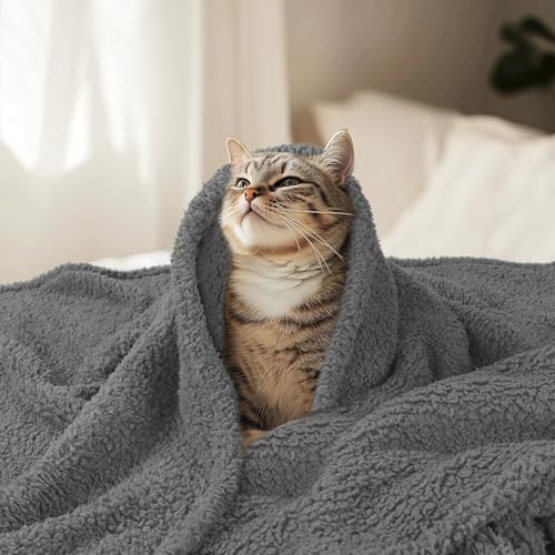 Luciphia Premium Fleece Pet Blanket for Small Medium Dogs Puppy Soft Sherpa Calming Cat Throw Blankets(Grey,41x31 inches) - color: Grey, size: 41x31 inches