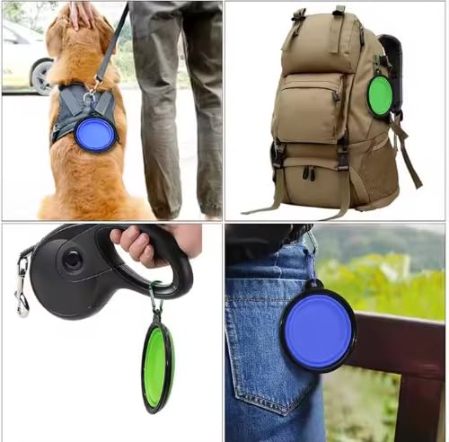 Collapsible Pet Bowl Set, Portable Silicone Travel Food Water Bowls with Carabiner Clip, Multi-Color, Space-Saving Design for Dogs Cats (Blue & Green) - color: Blue & Green
