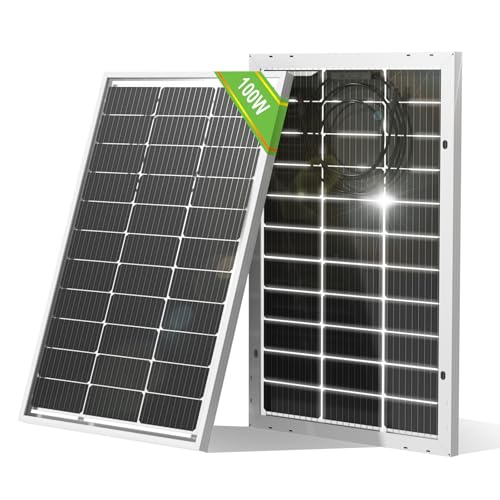 ECO-WORTHY Bifacial 100 Watt 12 Volt Solar Panel Monocrystalline Rigid High-Efficiency PV Module Power Charger for Sunsheds, Canopies, RVs, Farms and Other Off-Grid Applications - style: 100W Bifacial Solar Panel