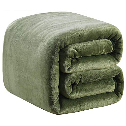 Polar Fleece Blankets Travel Size for The Bed Extra Soft Brush Fabric Super Warm Sofa Blanket 50" x 61"(Green Travel) - color: Green, size: Travel (50-Inch-by-61-Inch)