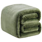 Polar Fleece Blankets Travel Size for The Bed Extra Soft Brush Fabric Super Warm Sofa Blanket 50" x 61"(Green Travel) - color: Green, size: Travel (50-Inch-by-61-Inch)