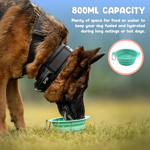 Collapsible Dog Bowl - 800ml/27 oz Portable Silicone Travel Water Bowl for Dogs with Carabiner | Foldable, Dishwasher Safe | Hiking, Camping Dog Essentials & Outdoor Pet Feeding - Green - color: Green