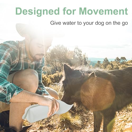 Portable Dog Water Bottle, Collapsible Leak-Proof Water Dispenser, Dog Travel Water Bottle for Hiking Travel, 550ml, Grey