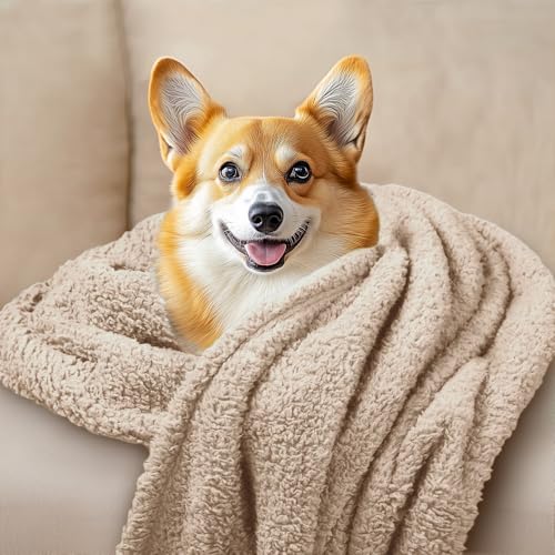1 Pack 3 Calming Blankets Fluffy Premium Fleece Pet Blanket Soft Sherpa Throw for Dog Puppy Cat Beige Large (41" x31'') - color: Beige, size: Large (Pack of 3)