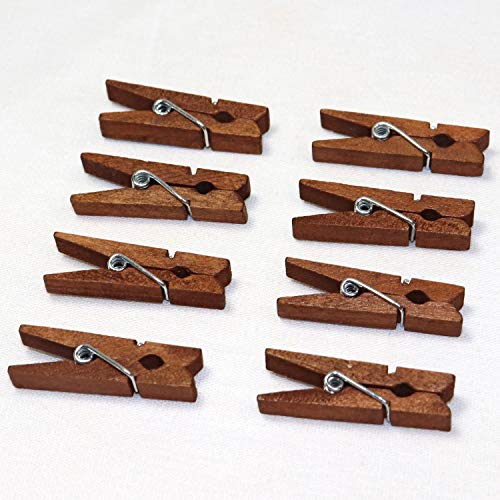 Mini Natural Wooden Clothespins with Jute Twine, 100pcs, 1.4 Inch Photo Paper Peg Pin Craft Clips with 320ft Natural Twine for Scrapbooking, Arts & Crafts, Hanging Photos (Rustic Brown) - color: Rustic Brown