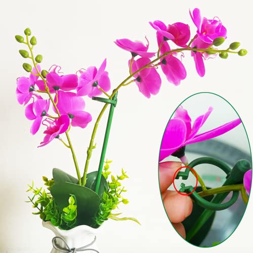 Belit 8 Pack Small Plant Support Plant Stakes, Adjustable Garden Single Stem Support Stake, Planter Support Ring for Orchid, Rose, Peony, Peppers and More, 12 inch - size: 11.8 Inch