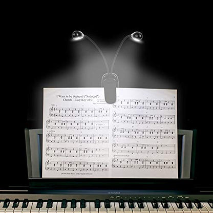 10 Pack Music Stand Lights - Musician Piano Light Clip On, USB & AAA Battery Powered, Eye Care & Portable, LED Book Reading Lamp, 4 Brightness, Ideal for Orchestra, Sheet Music, Guitar (Dual Arm) - size: 10 Pack