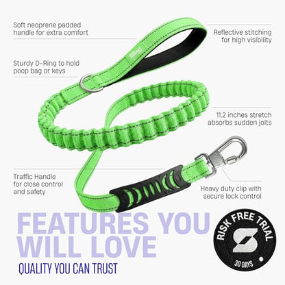 Dog Friendly Co. Bungee Dog Leash | Strain Free & Shock Resistant for Control | Neoprene Padded Handle, Heavy-Duty Carabiner Clip, and D-Ring | Neon Green, Size Regular - color: Neon Green, size: Regular