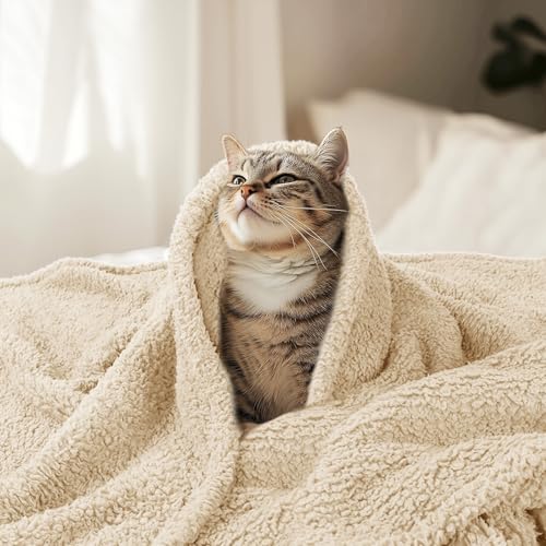 Luciphia Premium Fleece Pet Blanket for Small Medium Dogs Puppy Soft Sherpa Calming Cat Throw Blankets(Beige,41x31 inches) - color: Beige, size: 41x31 inches