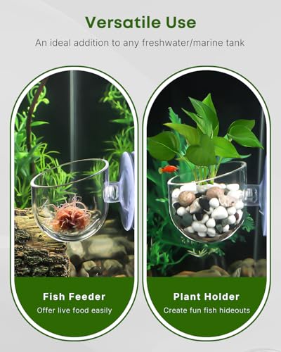 Pawfly Aquarium Plant Holder for Fish Tanks, Clear Plastic Fish Tank Plant Holder, Aquarium Planter Cup with Suction Cup, Fish Tank Plant Pot for Aquascape Decoration, Red Worm Fish Feeder - size: 1 Pack