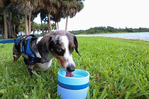 OhmyPet Pet Water Bottle Station with 3 Bowls and 32oz Bottle, Pink or Blue, for Dogs - color: Blue