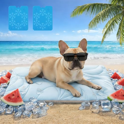 Vagascape Dog Cooling Mat New 5.0 Version Built-in Ice Pack, Long-Lasting Cool 6-8h, 30" x 20" Ultra Thick Soft Vine Pattern Pet Cooling Mat, Washable Foldable Large Cooling Pad for Indoor Outdoor - color: Baby Blue, size: Medium