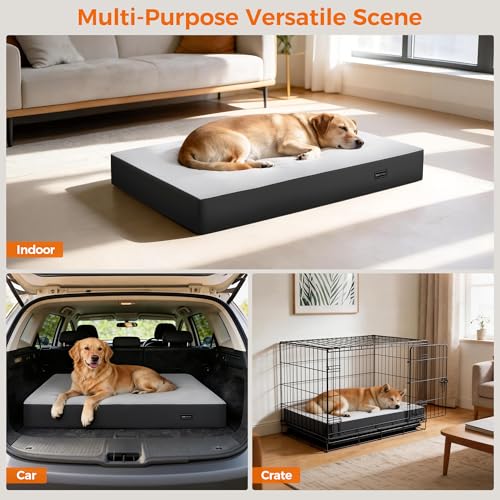 5 Inch Thick Orthopedic Dog Bed for Medium & Large Dogs, High Density Egg Crate Memory Foam with Support Foam, Waterproof Liner & TPU, Removable Washable Cover, Nonskid Bottom, 36"x27"x5", Grey - size: 36''L x 27''W x 5''Th