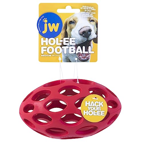 JW Pet Hol-ee Water Bottle Dog Toy, Not a Chew Toy, Medium - size: Medium