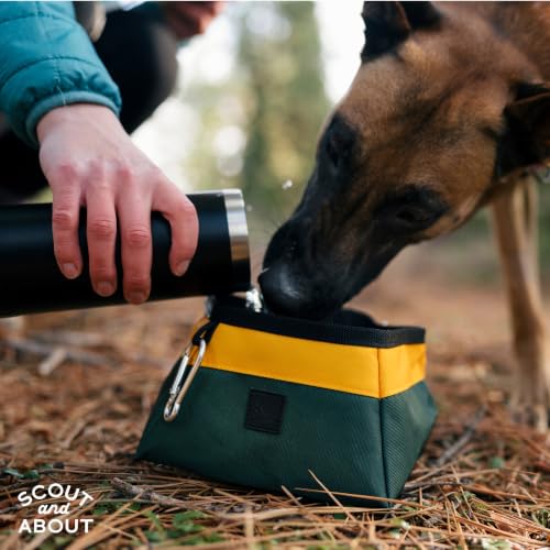 P.L.A.Y. Landscape Series Collapsible Dog Water & Food Bowl - Great Dogs, Travel, On-the-go, Hiking, Outdoors - Portable, Folds Flat, Waterproof, Easy Clean, 2.3L Capacity (Moss) - color: Moss