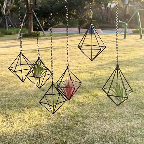 Clearance 6 Pack Hanging Metal Air Plant Holders with Chain, Black Geometric Tillandsia Air Plant Hanger Cages, 2 Styles Mini Iron Air Plants Live Holders for Home Office Garden Decor
