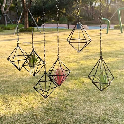 Clearance 6 Pack Hanging Metal Air Plant Holders with Chain, Black Geometric Tillandsia Air Plant Hanger Cages, 2 Styles Mini Iron Air Plants Live Holders for Home Office Garden Decor