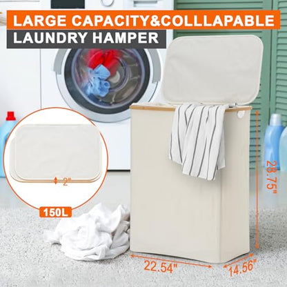 GARPROVM Double Laundry Hamper with Lid 150L Large Laundry Basket with Bamboo Handles Foldable Clothes Hampers with 2 Removable Liner Bags for Laundry for Bedroom Bathroom Dorm Laundry Room (Beige) - color: Beige