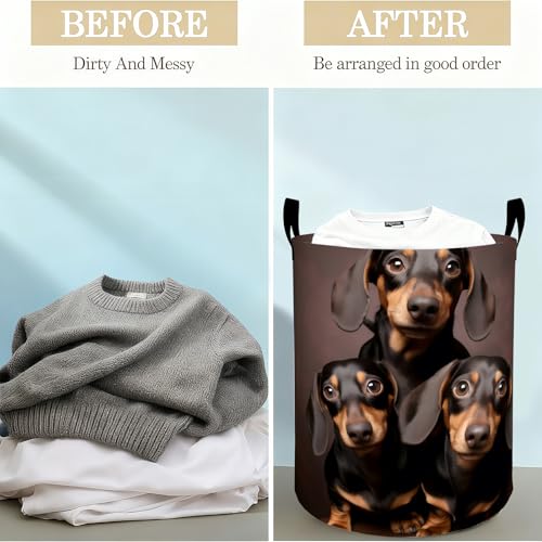 Dachshund Laundry Basket Hamper for Boys Girls Kids Adults, Foldable Waterproof Oxford Clothes Storage Bin, Dog Organizer for Bedroom Bathroom Room Decor 19.7"x15.8" - style: Dachshund