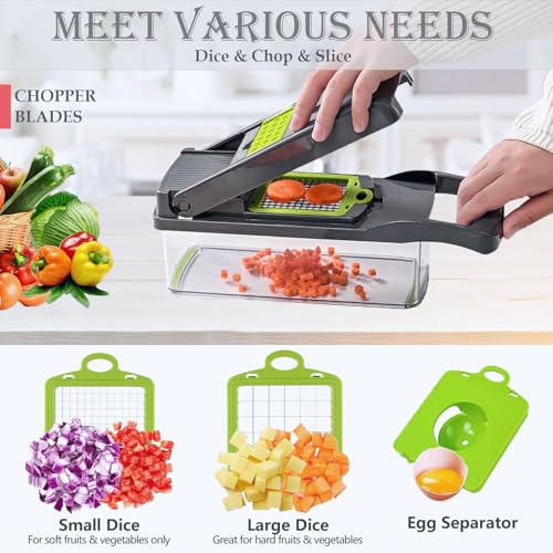 Dewpeton Pro-Series 20-in-1 Mandoline Slicer & Spiralizer, Veggie Chopper with Container, Home Essential Kitchen Gadget - color: Gray, size: 10 Blades